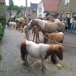 paardenmarkt1